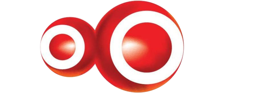 ZOOM TV